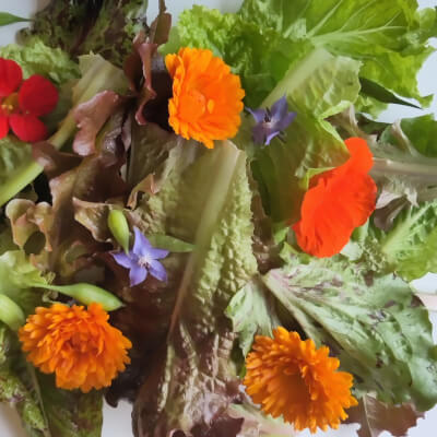 Mixed Salad Bag - Locally And Organically Grown At Upper Ballaird 