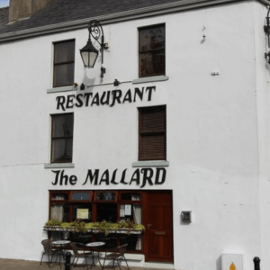 The Mallard