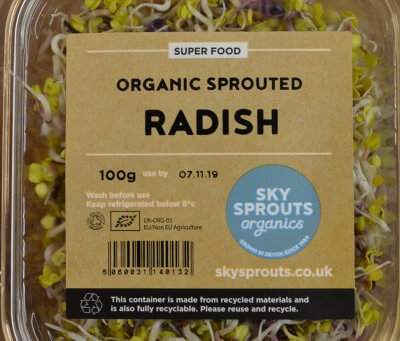 Organic Sprouted Radish