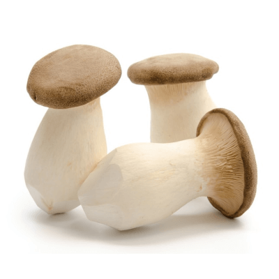 Organic  King Oyster Mushrooms Grown In Somerset