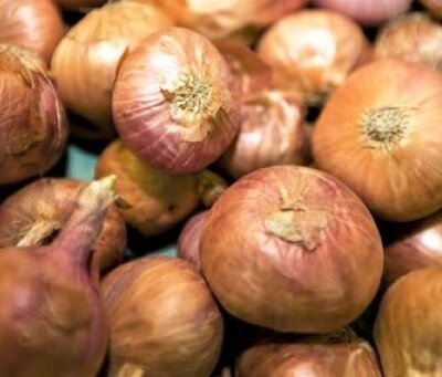 Organic Yellow Onions Grown In Spain 
