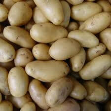 Baby Potatoes