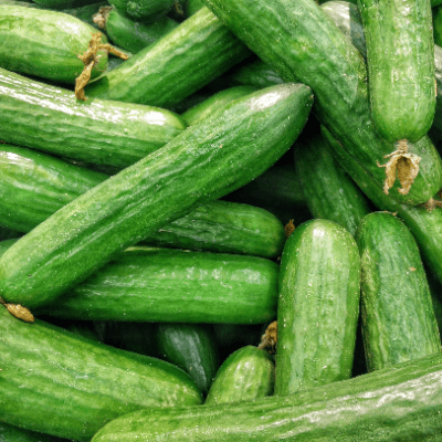 Cucumber Certified Organic Seeds