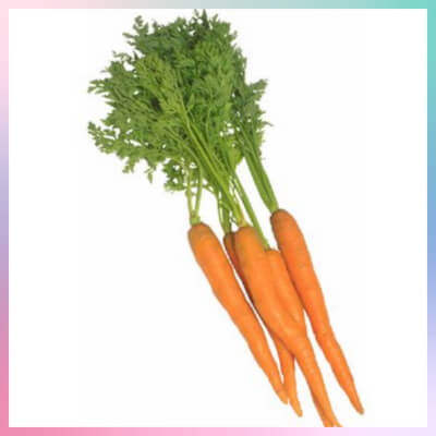 English Bunched Orange Carrots