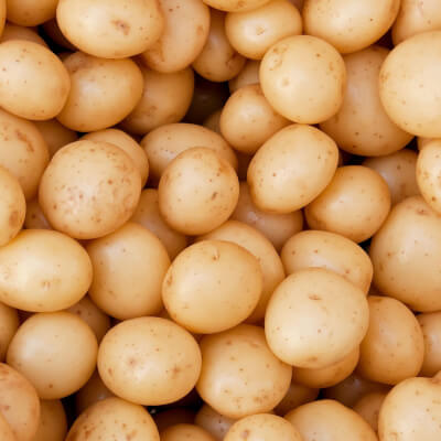 Lincolnshire New Potatoes 